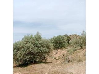 Finca rústica  4. Terreno en venta en tamarite de litera