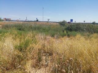 Terreny residencial  Calle la iglesia. Finca rustica en venta en binéfar
