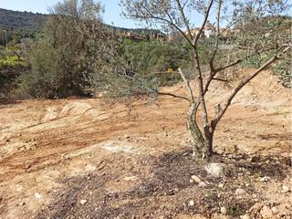 Terrain résidentiel  Costera. Parcela en venta en el grado