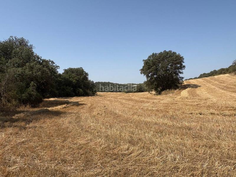 Foto 1224fdcc-6b55-485c-a727-2eb5f4a93cfa. Finca rústica a San Esteban de Litera