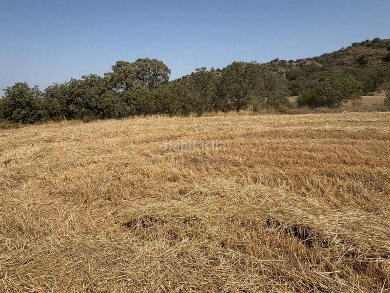 Foto 25515d3a-b5ec-44b6-b9c6-4b88dece647e. Finca rústica a San Esteban de Litera