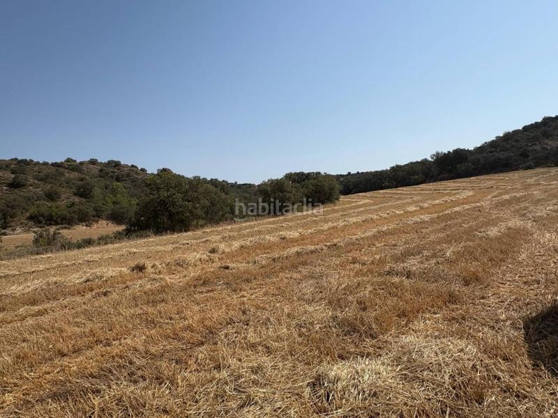 Foto 3faf328b-4da4-4aad-947f-b0a274486097. Finca rústica a San Esteban de Litera