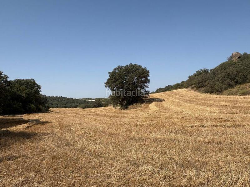 Foto 3ffdb805-e3ba-439e-b9b5-4e3ab45e0b00. Finca rústica a San Esteban de Litera