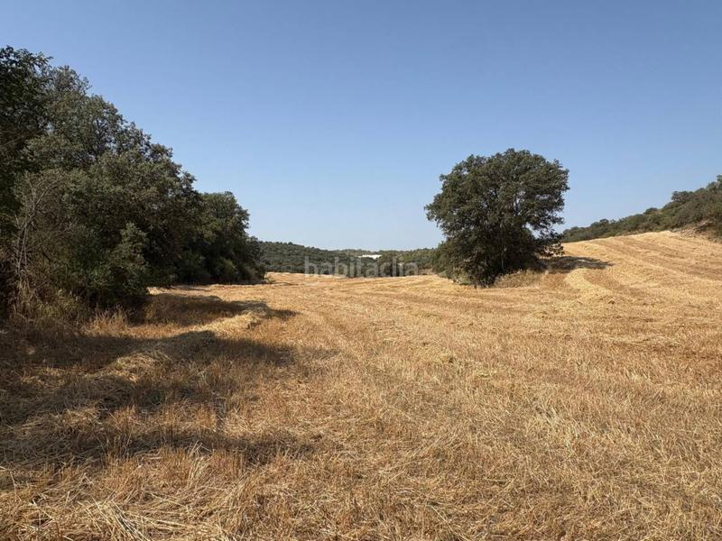 Foto 4253bdb2-1f21-4e06-aca2-3479c2f15aa9. Finca rústica a San Esteban de Litera