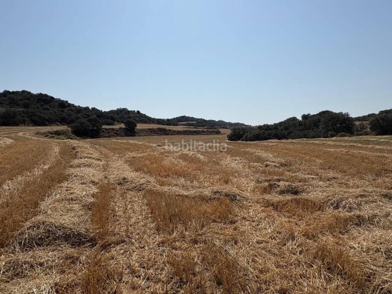 Foto 4ed5a37c-4083-4599-8f9e-66eef0f50602. Finca rústica a San Esteban de Litera