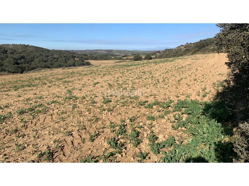 Foto 6198139f-1532-4057-812b-2cb45961f7ee. Finca rústica a San Esteban de Litera