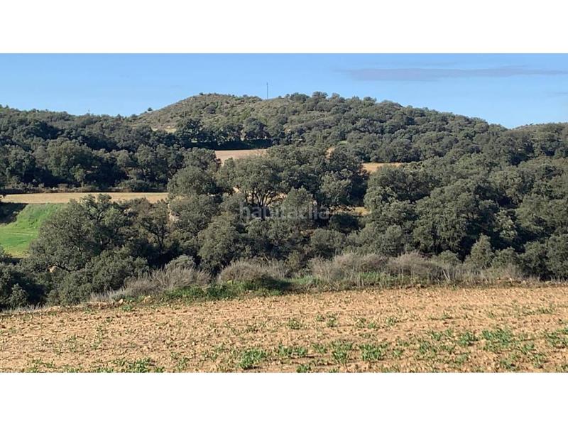 Foto 73aa0534-4d12-42ae-a210-484eaea3f205. Finca rústica a San Esteban de Litera