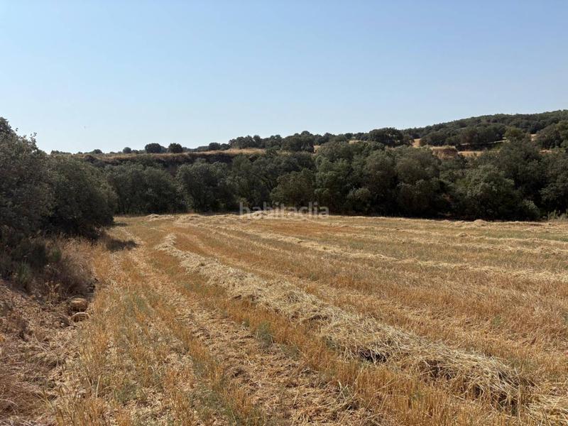 Foto 78741ec1-8663-4b8b-9f98-dc2faf6e61ba. Finca rústica a San Esteban de Litera