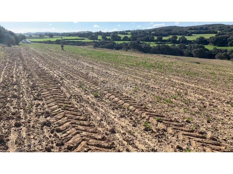 Foto 891066ba-ff81-4344-b19b-6b21b9b411e4. Finca rústica a San Esteban de Litera