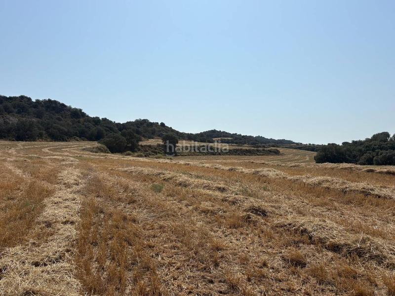 Foto 8f7ded95-1969-428b-ad10-cf632af5fd0f. Finca rústica a San Esteban de Litera