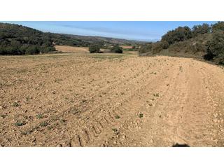 Propriété à San Esteban de Litera. Finca rustica en venta en san esteban de litera