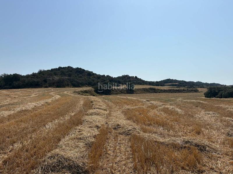 Foto eaa9a30c-5b7a-4809-8532-ac92b34a23dd. Finca rústica a San Esteban de Litera