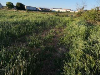 Terrain résidentiel  Calle carretera. Solar en venta en laluenga
