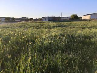 Terrain résidentiel  Calle carretera. Solar en venta en laluenga