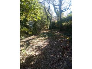 Solar industrial  Juan soler. Solar en venta en barasona