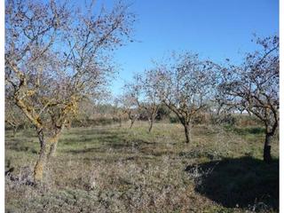 Finca rústica  Polg.. Finca rustica en venta en pozán de vero