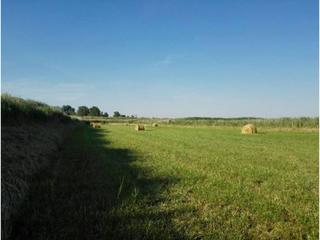Terreny residencial  Polg.. Finca rustica en venta en capdesaso