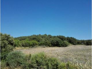 Finca rústica  Camino lizana. Finca rustica en venta en lascellas