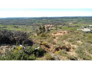 Terreny residencial  Barrio arrabal. Finca rustica en venta en radiquero