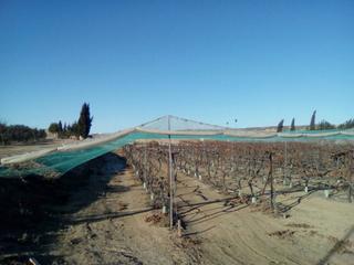 Finca rústica a Villanueva de Sigena. Finca rustica en venta en monasterio de sigena