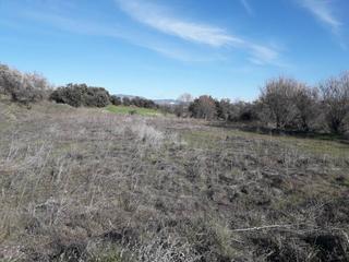 Rural plot  Barbastro. Finca rustica en venta en barbastro