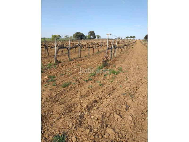 Foto 958f1eab-b719-4e04-bc34-9f9579fee1e8. Edifici a Lascellas - Ponzano