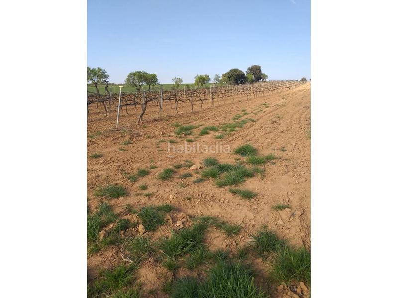 Foto da4dceb1-f8ef-49c9-a39b-b63b1d03b6b7. Edifici a Lascellas - Ponzano