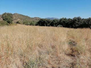 Finca rústica  Pacas. Finca rustica en venta en huerta de vero