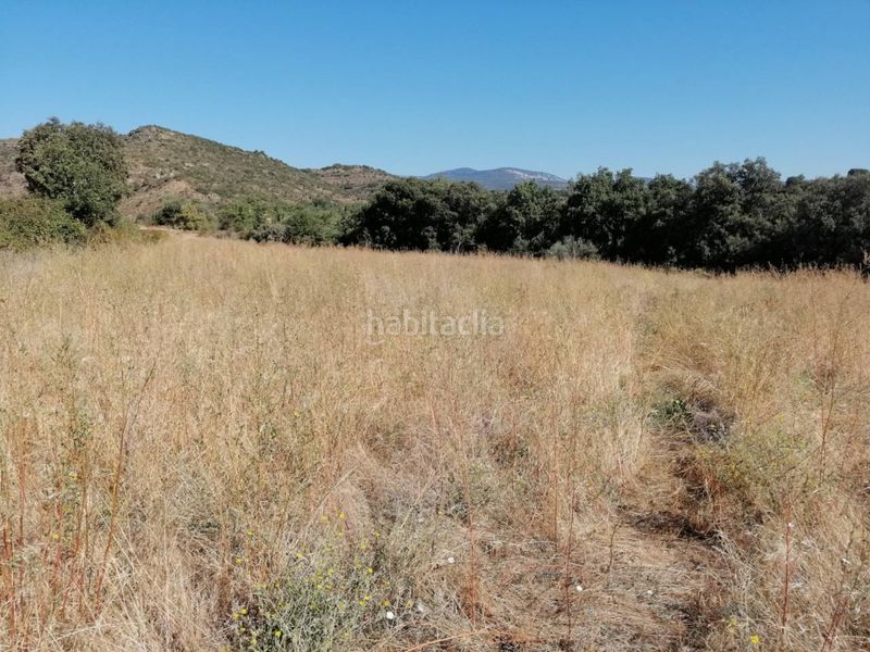 Foto 53032d72-92f7-43b4-b897-e75753e2afeb. Finca rústica a Santa María de Dulcis