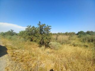 Rural plot  Diseminados. Terreno de regadio en alcolea