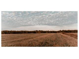 Solar industrial  Diseminados. Terreno en venta cerca de binefar