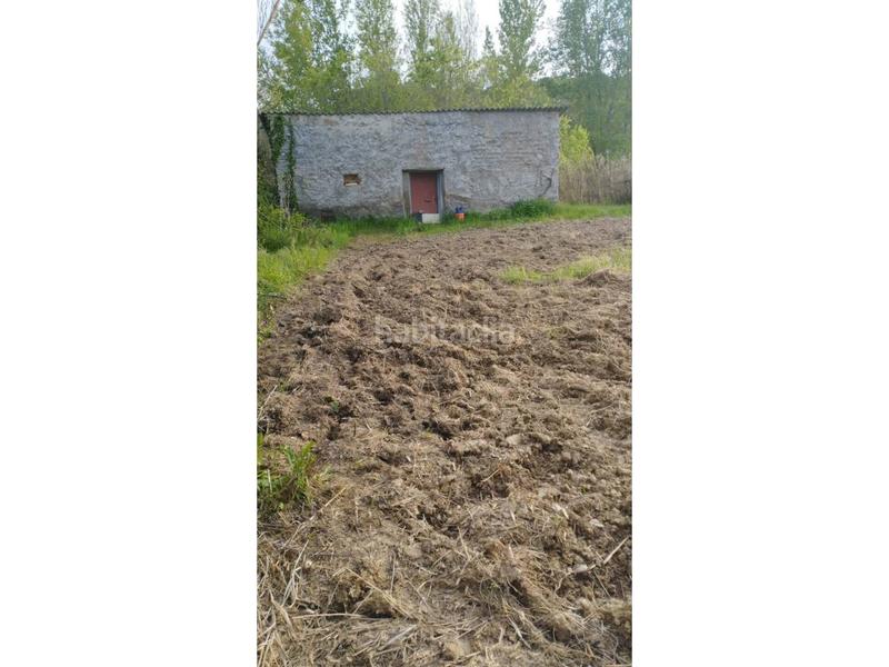 Foto d842e012-b95e-48b3-902b-5d4e2107b9b3. Alquiler finca rústica terreno en alquiler en Pozán de Vero