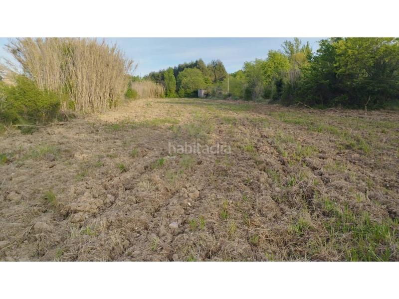 Foto fe33cdd1-6529-4ef6-b258-038ea43594a6. Alquiler finca rústica terreno en alquiler en Pozán de Vero