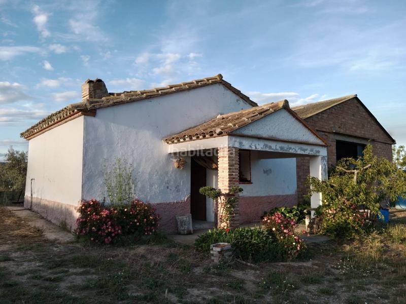 Foto 13f9a4b9-b886-4adb-b5e1-e2ce48c02eb0. Finca rústica  en tamarite en Alcampell