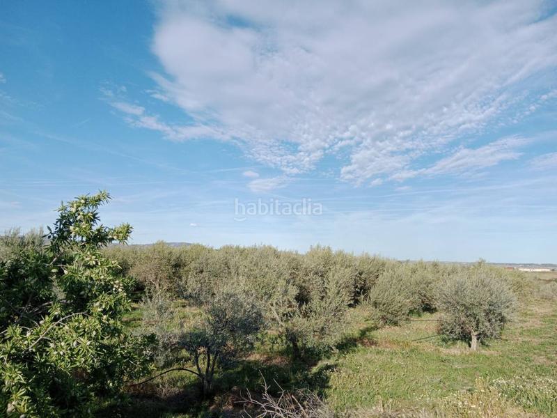 Foto affa3229-8096-445d-b25a-cbe907e8631b. Finca rústica  en tamarite en Alcampell