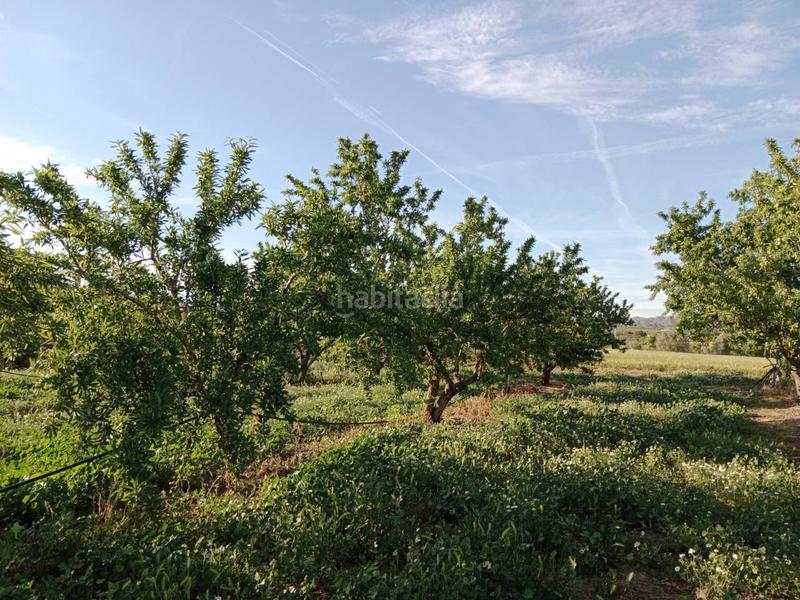 Foto d6e8dc96-3355-4762-baca-91c863b05a40. Finca rústica  en tamarite en Alcampell
