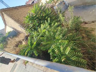 Terrain industriel  Avenida ernest lluch. Solar en venta en barbastro