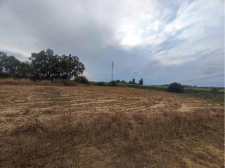 Terreny residencial a San Esteban de Litera. Venta de finca rústica de regadío en san esteban de litera