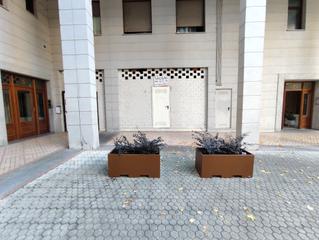 Local Comercial en Urnieta