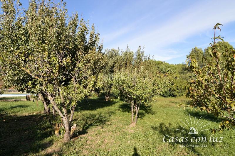 Foto 77c79315-1bd0-41a6-b915-3dcb2da14474. Casa a schiera con piscina in Peñaflor Zaragoza