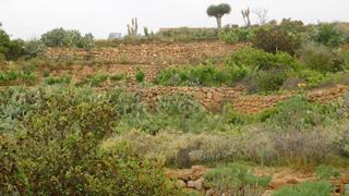 Finca rústica a Granadilla de Abona ciudad. Vendo terreno rústico con vistas en altamira, granadilla de abon