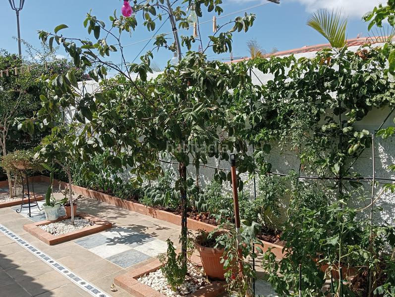 Foto f8063636-1c3c-487d-9abd-0a63499a62d4. Haus in calle el drago 17 in Playa Fañabé Alto Adeje