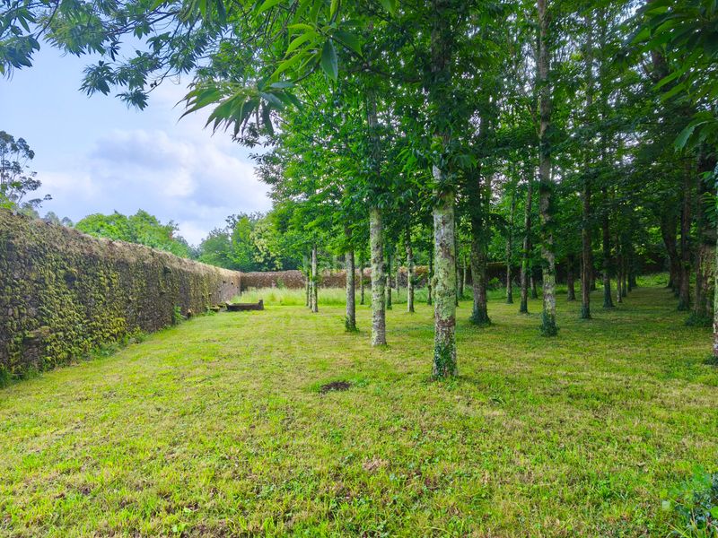 Foto 07afe122-0741-46bb-9817-98be61563b23. Casa amb xemeneia calefacció aparcament a Castiñeiriño - Cruceiro de Sar Santiago de Compostela