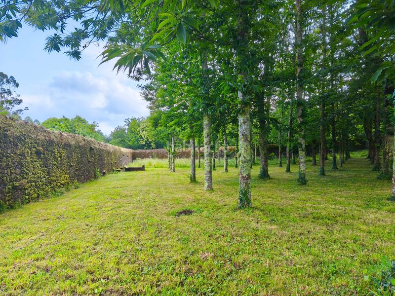 Foto 07afe122-0741-46bb-9817-98be61563b23. Masia amb xemeneia calefacció aparcament a Castiñeiriño - Cruceiro de Sar Santiago de Compostela