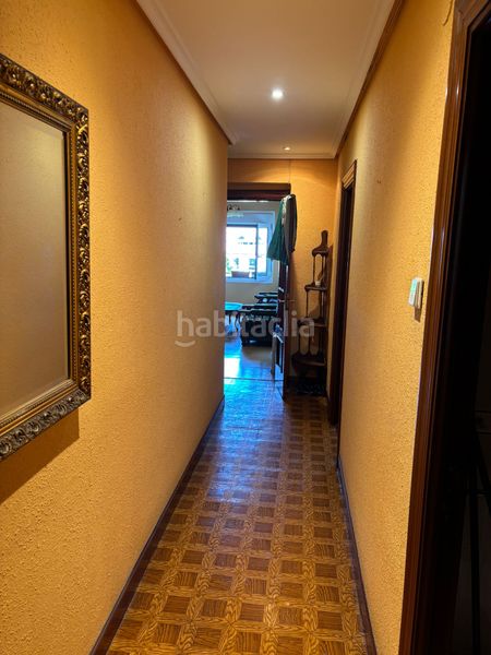 Foto f8b41d8c-4b0e-45a6-8b7c-0d53727b2c6c. Pis a Alegia