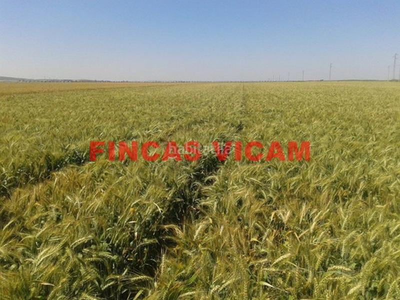 Foto 3b845668-dd43-4bde-b5d0-0b5d6b458b0b. Finca rústica a Lascellas - Ponzano