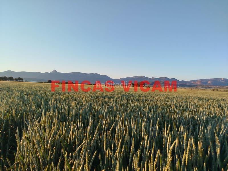 Foto 1206259b-e710-452a-a7ab-f1d73d2eb6d4. Wohngrundstück in Banastás