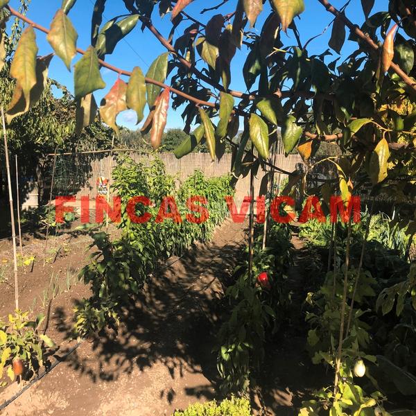 Foto 30fa1b7c-d4c4-4021-b215-318fb41b1579. Finca rústica a Pedanías Huesca