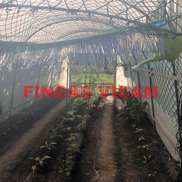 Foto fc2048d7-b4d2-4ea5-8bdc-b986d3a27a80. Finca rústica a Pedanías Huesca