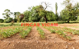 Finca r�stica en Partida afueras huesca 947. ?? oportunidad: terreno de 5.200 m� con pozo a < 1km de huesc